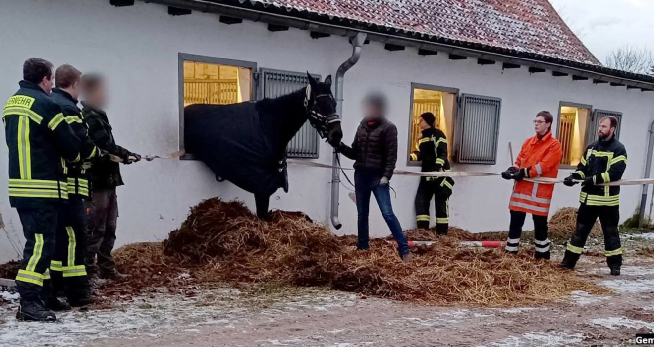 „Hilfeleistung Tier: Pferd steckt in Fenster“ – zehn Feuerwehrleute rückten nach dem Notruf an
