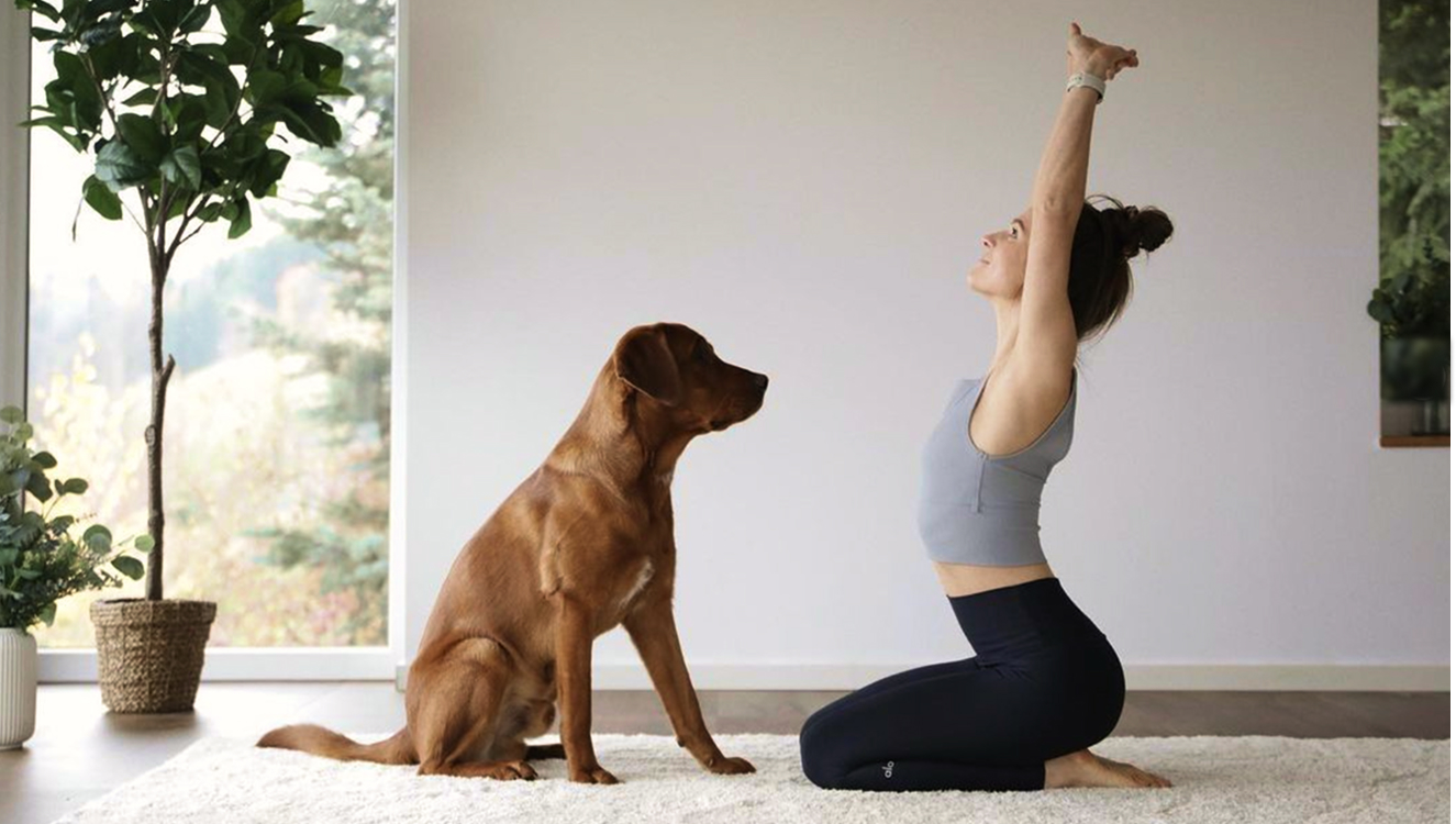 Besser als Pillen: Stressreduktion und Entspannung durch Sport wie Yoga und schnelles Gehen verbessern Schlafqualität und -dauer