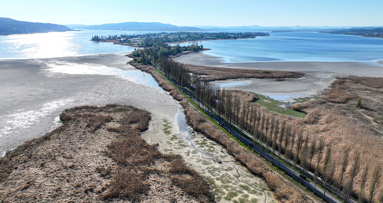 Der Bodensee aus Drohnensicht: Rund um die Insel Reichenau, hier beim Wollmatinger Ried, wird der niedrige Wasserstand deutlich