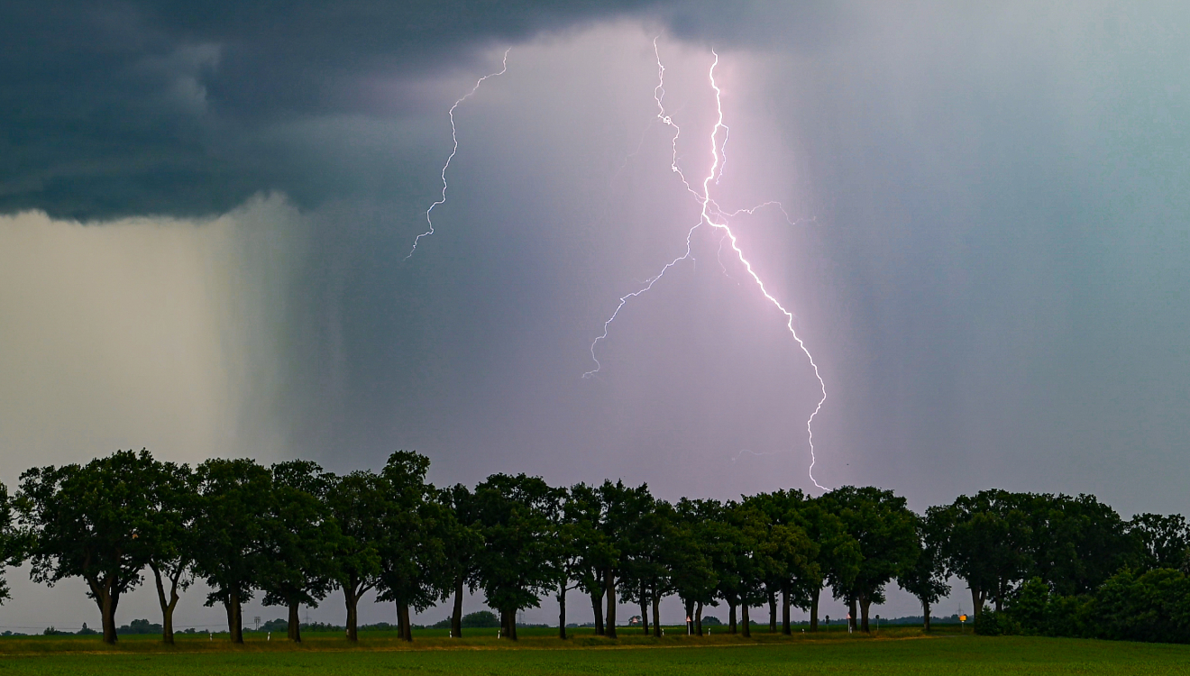 Mehr als Blitz und Donner: Gewitter können geräuschlose und unsichtbare Pollen-Attacken auslösen