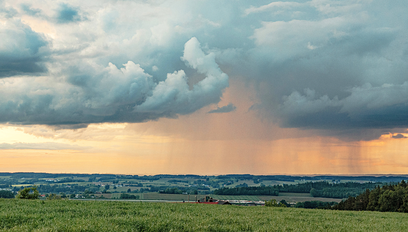 Der Duft des Regens – manchmal kann man ihn sogar vorab wahrnehmen, auch ohne ein Wetterfrosch zu sein