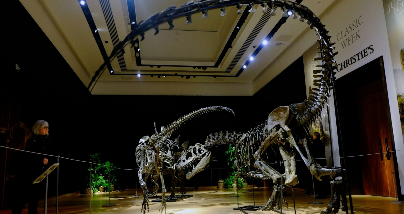 Dinosaurierskelette, die in London nun vesteigert wurden