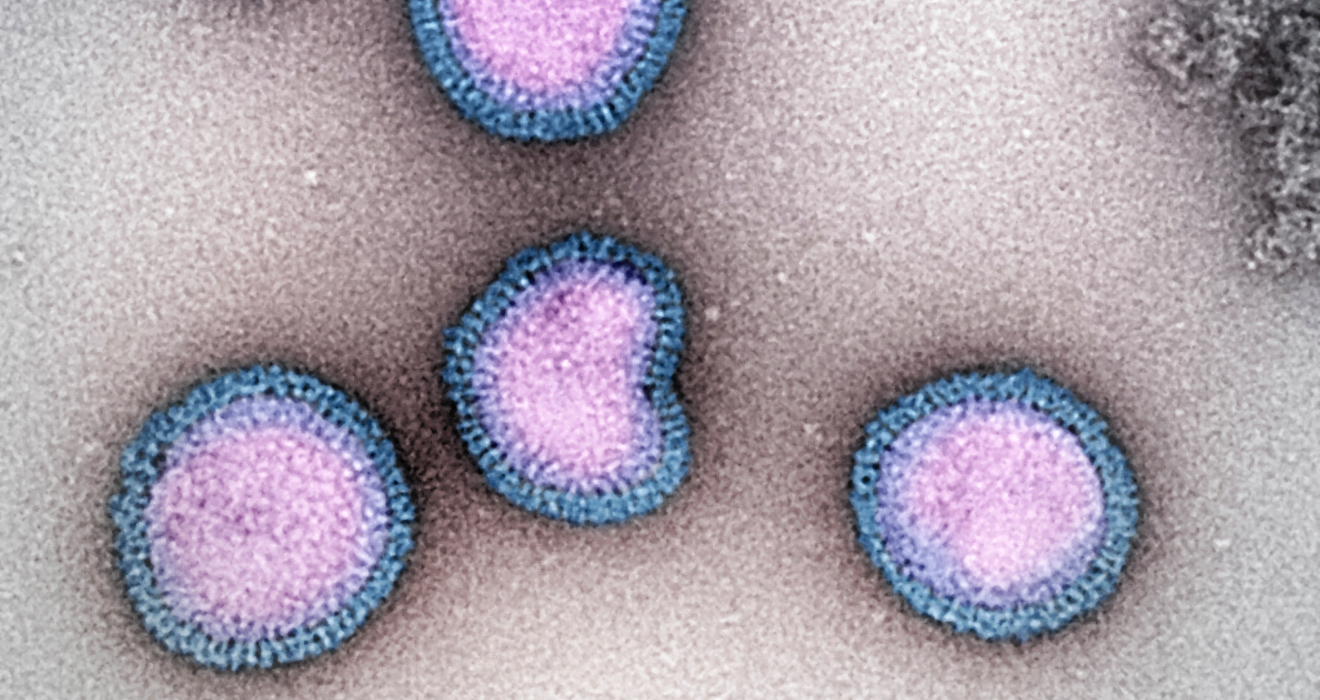 Influenza B-Viren: Die Grippewelle trifft in diesem Jahr bislang vor allem Kinder stark