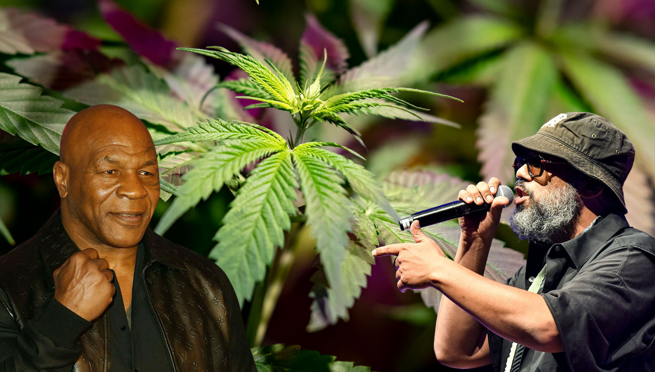 Bis einschließlich Sonntag gehts um Cannabis, mit Promi-Faktor: Hip-Hop-Legende Samy Deluxe (r.) gibt ein Konzert und Ex-Boxer Mike Tyson ist in das Geschäft mit medizinischem Cannabis eingestiegen