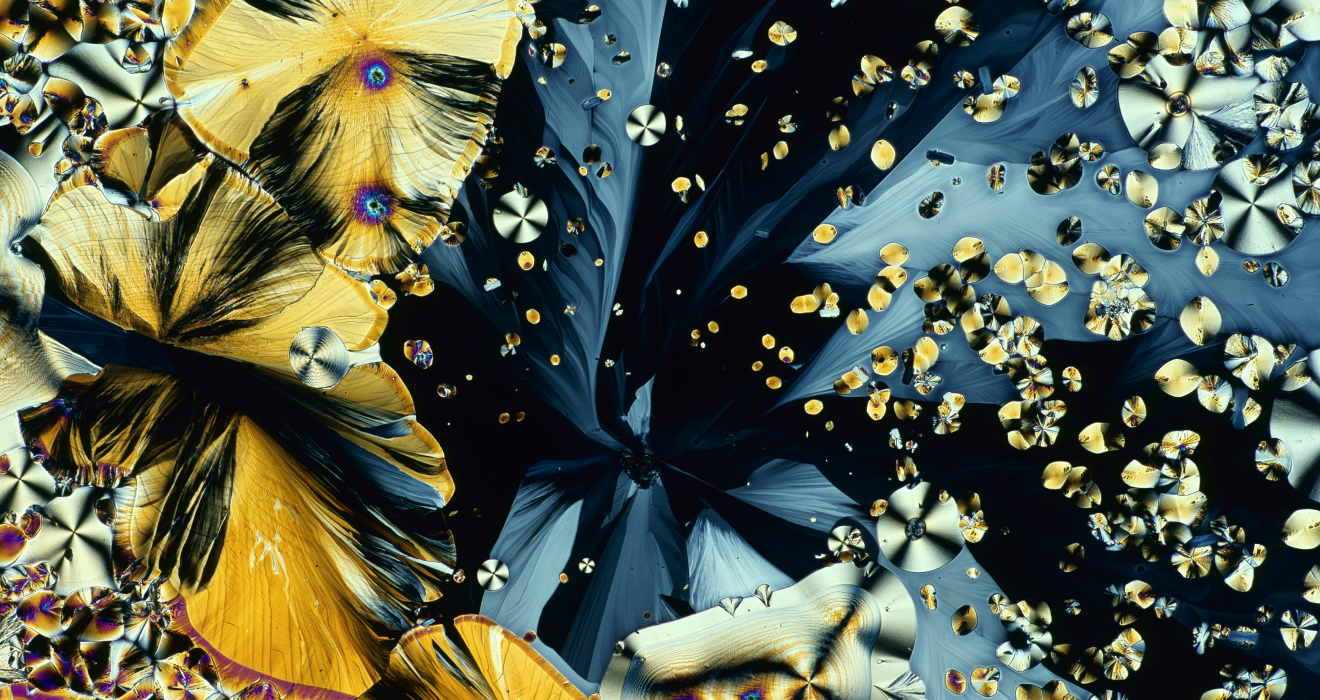 Mikrofotografie in polarisiertem Licht: Kristalle des Hormons Melatonin
