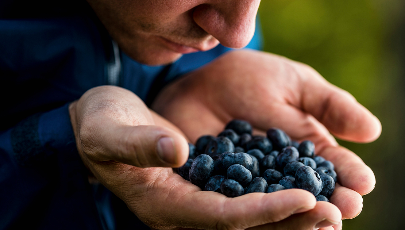 Blaubeeren helfen nicht nur gegen Muskelkater