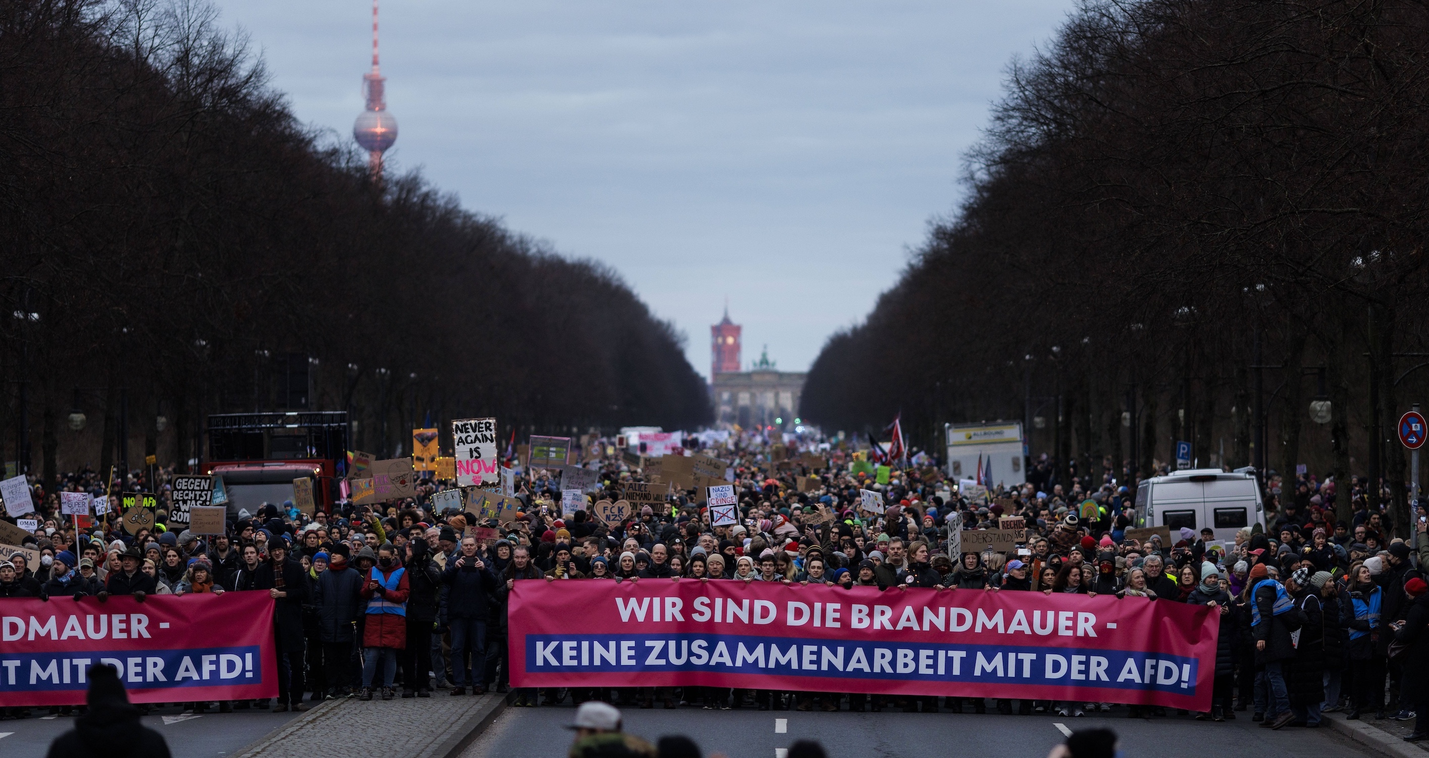 Proteste gegen die AfD